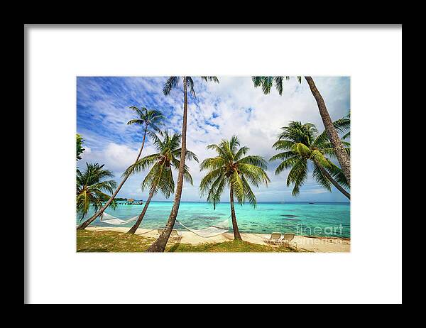 Coconut Framed Print featuring the photograph Tahitian Tropical Paradise by Diane Macdonald