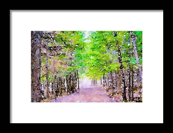 Painting Framed Print featuring the mixed media Take Me to the Forest #2 by Susan Rydberg