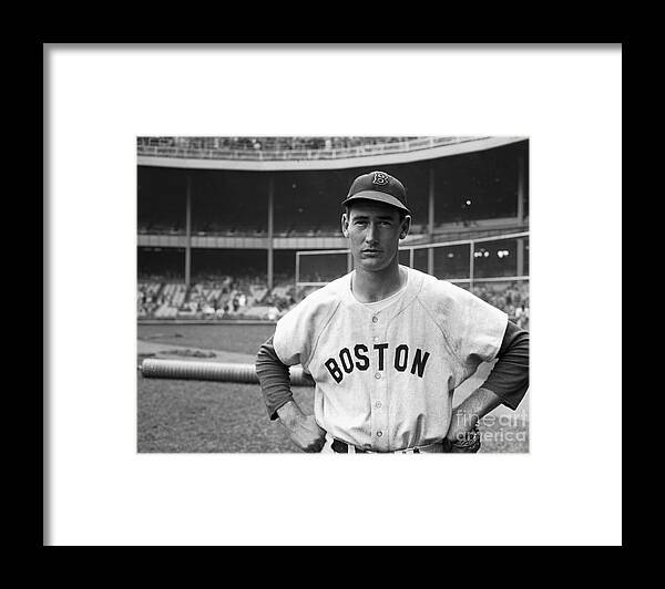 Ted Williams In Uniform Framed Print