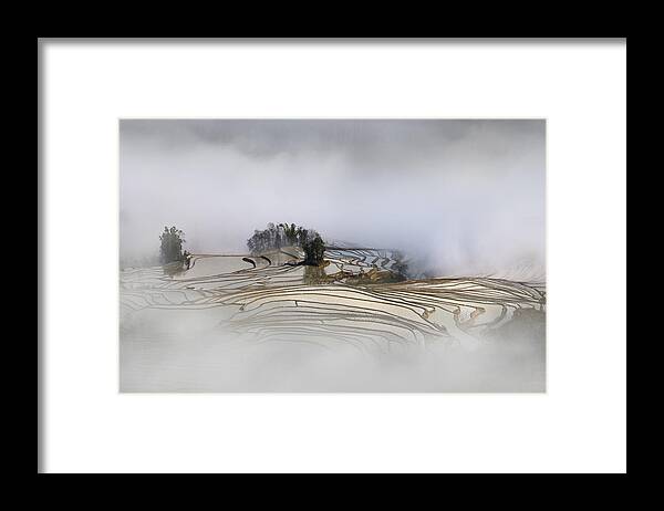 Terrace Framed Print featuring the photograph Terrace Rice Field by Shenshen Dou