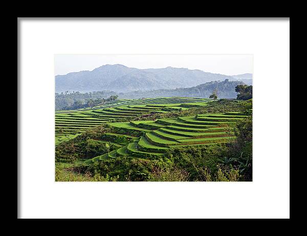Tranquility Framed Print featuring the photograph Terraces Of Rice Paddy Field by Tristan Savatier