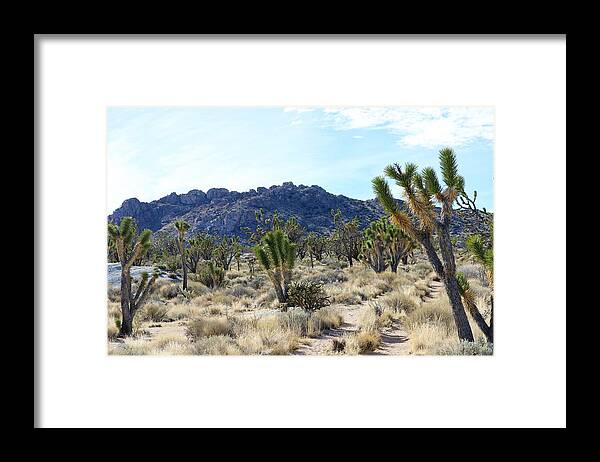 Mojave National Preserve Framed Print featuring the photograph Teutonia Peak Trail by Maria Jansson