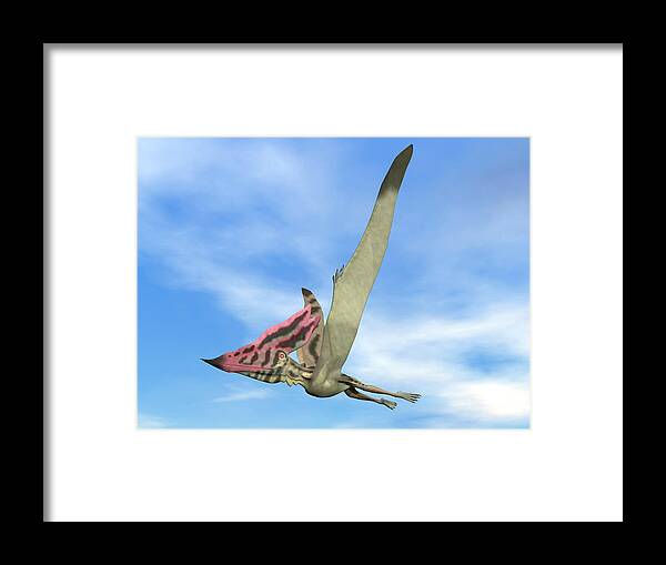 Dinosaur Framed Print featuring the photograph Thalassodromeus Prehistoric Bird Flying by Elena Duvernay
