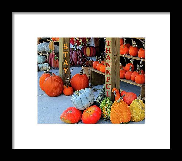 Thanksgiving Framed Print featuring the photograph Thanksgiving Card - One by Linda Stern