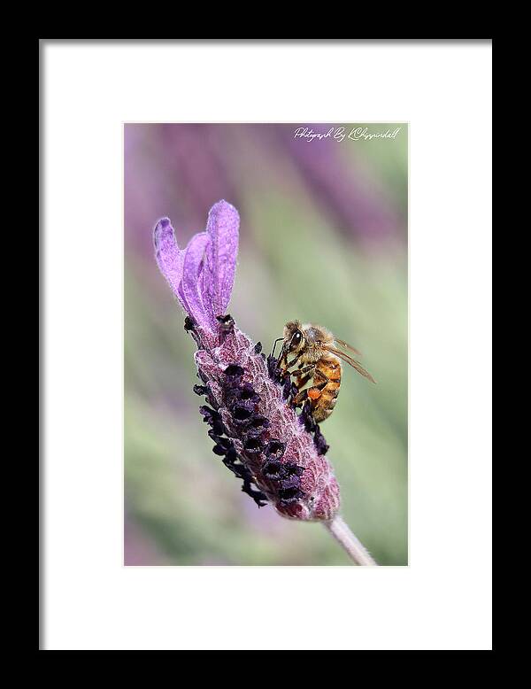 Bees Framed Print featuring the digital art The beauty of nature 99943 by Kevin Chippindall