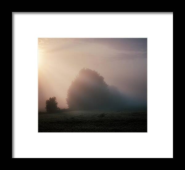 Fog Framed Print featuring the photograph The Beginning of Autumn by Dan Jurak