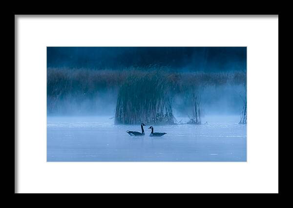 Morning
Geese
Blue
Hour
Creative Framed Print featuring the photograph The Blue Hour by Abhinav Sharma