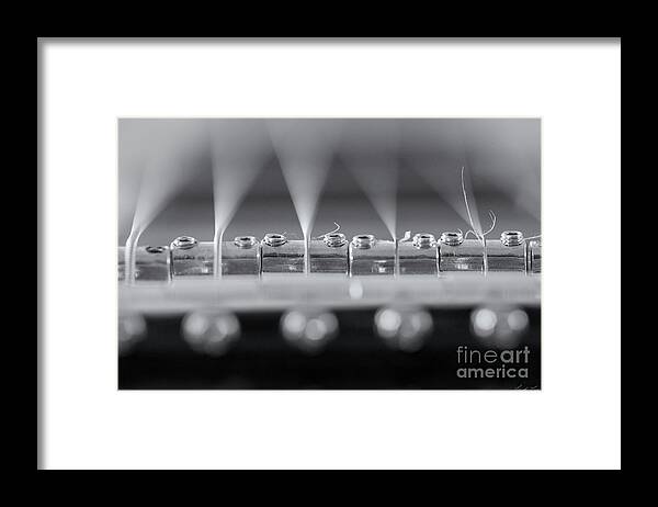 Guitar Framed Print featuring the photograph The Bridge by Linda Lees