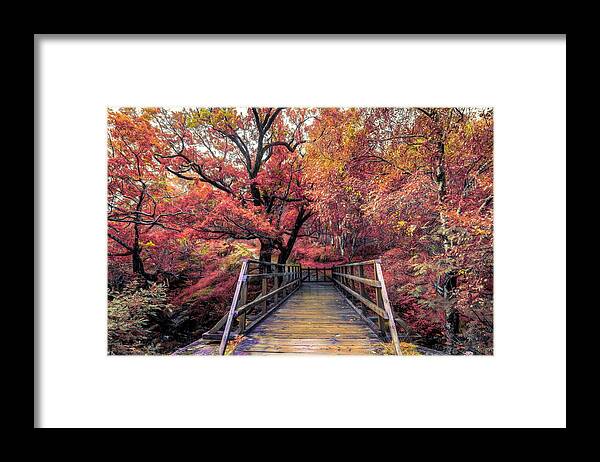 Fall Framed Print featuring the photograph The Bridge to Ben Nevis in Autumn by Debra and Dave Vanderlaan