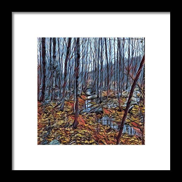 Photoshopped Photo. Framed Print featuring the digital art The brook at the end of the beaver pond by Steve Glines