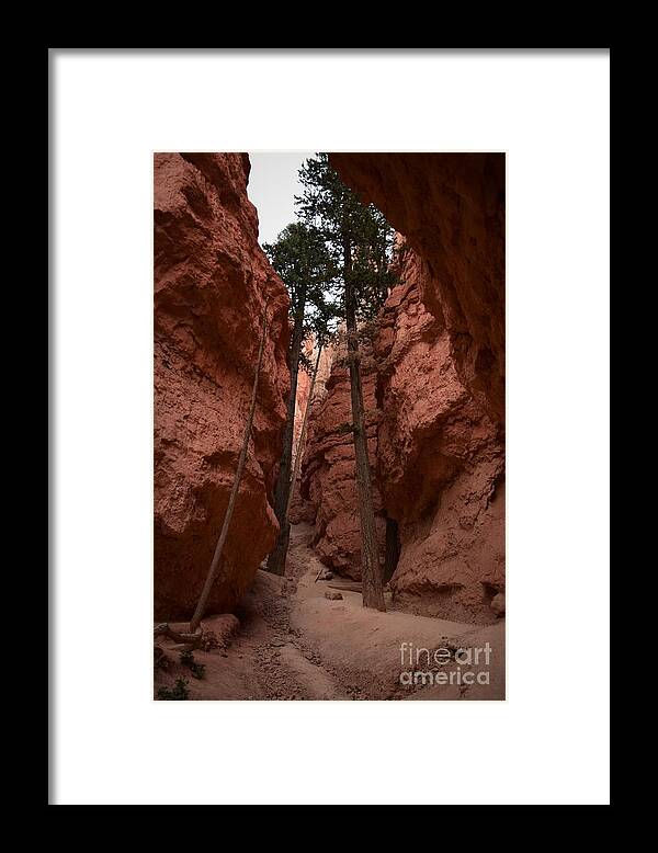 Utah Framed Print featuring the photograph The Chapel, Bryce Canyon by Leslie M Browning