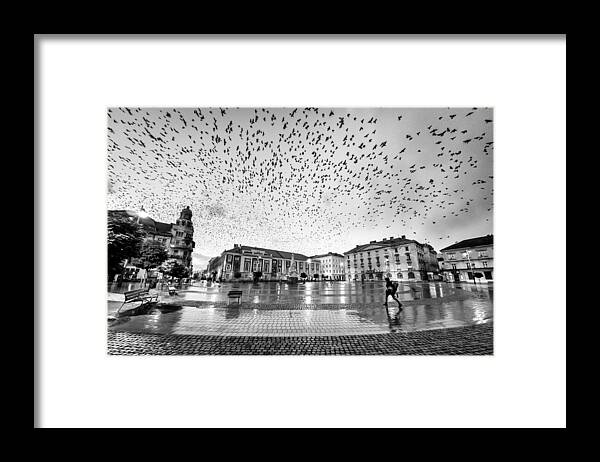 Birds Framed Print featuring the photograph The City Of Birds by Panfil Pirvulescu