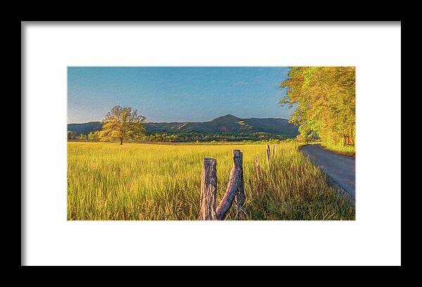 Cades Cove Framed Print featuring the photograph The Cove Tree in the Golden Hour by Marcy Wielfaert