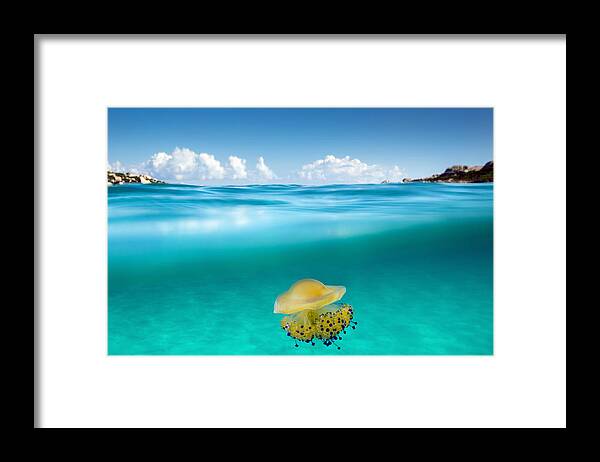 Medusa Framed Print featuring the photograph The Dangerous Encounter by Roberto Sysa Moiola
