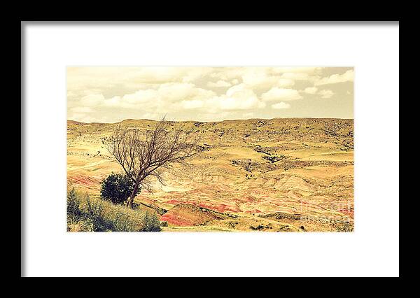 Desert Framed Print featuring the photograph The desert mountains of Transcaucasia by Yavor Mihaylov