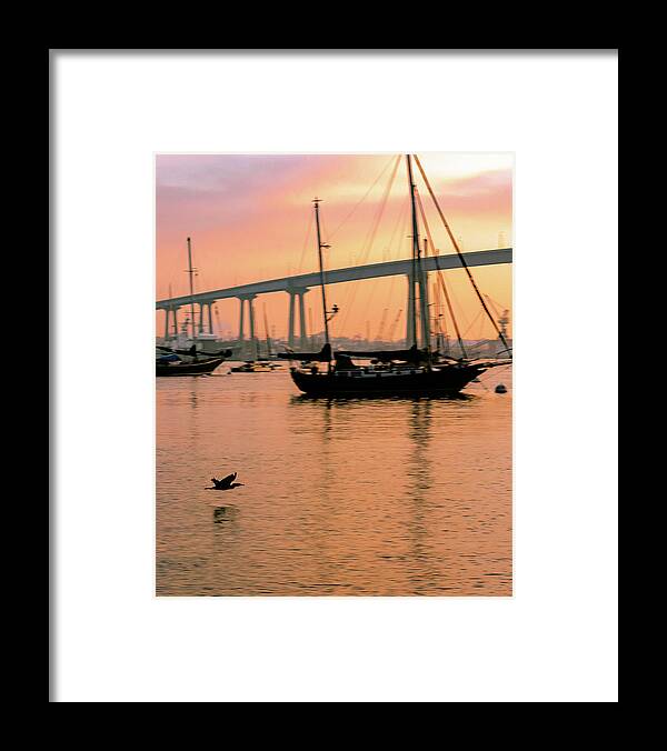 Bird Framed Print featuring the photograph The Early Bird by Local Snaps Photography