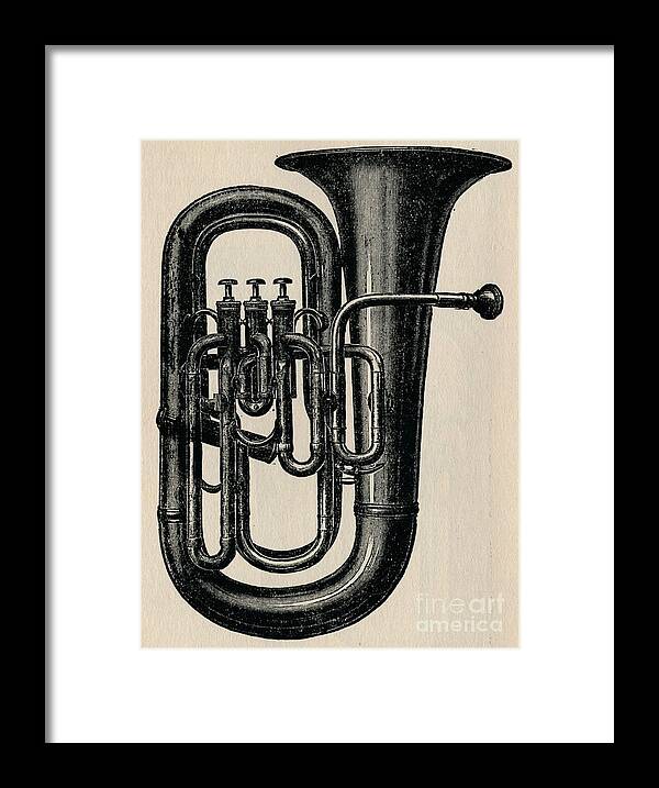 Music Framed Print featuring the drawing The Euphonium by Print Collector