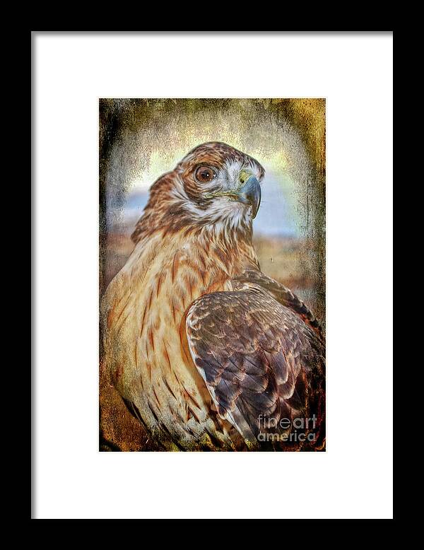 Bird Framed Print featuring the photograph The Falconers Friend by Janice Pariza