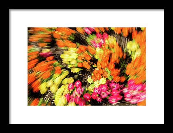 59 Framed Print featuring the photograph 59 - The Flower Coalition by Jessica Yurinko