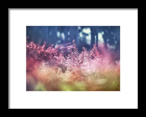 Forest Framed Print featuring the photograph The Forest by Jaroslav Buna