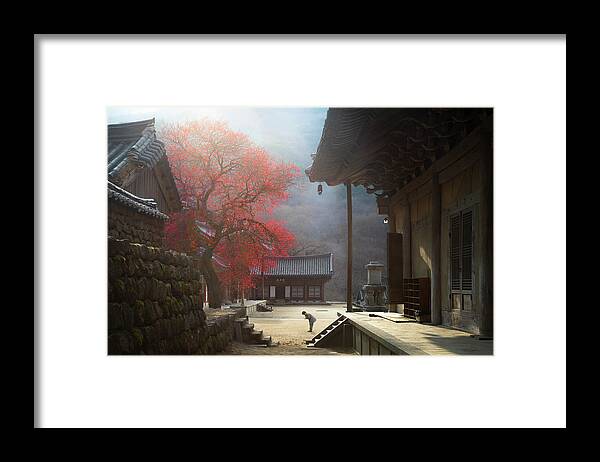 Tree Framed Print featuring the photograph The Fragrance Of A Thousand Years by Jaeyoun Ryu