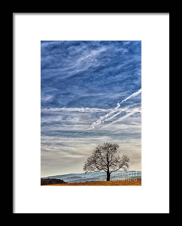 Hegau Framed Print featuring the photograph Lonely Tree in the Sky by Bernd Laeschke