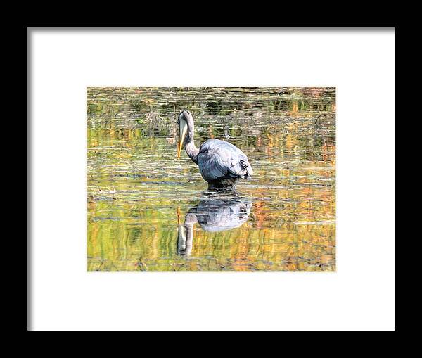 Reflection Framed Print featuring the digital art The Heron's Reflection by Susan Hope Finley
