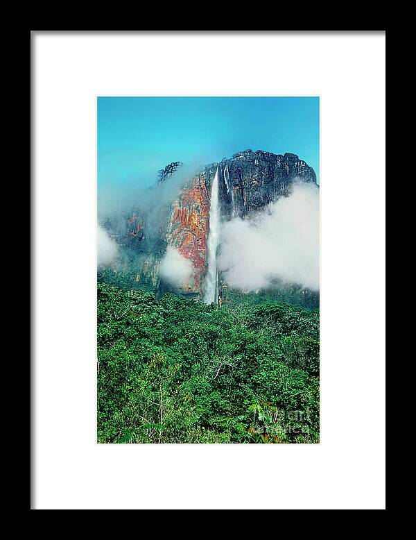 Dave Welling Framed Print featuring the photograph The Jungle Surrounds Angel Falls And Tropical Rainforest Canaima Np Venezuela by Dave Welling