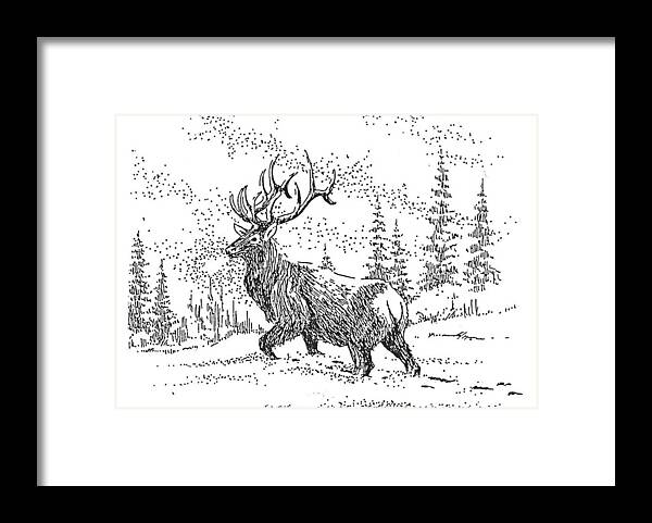 Elk Framed Print featuring the drawing The King by Kevin Heaney