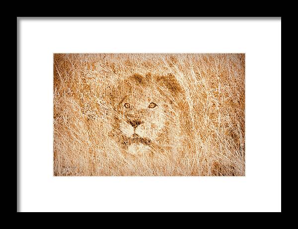 Lion Framed Print featuring the digital art The King by Mark Allen