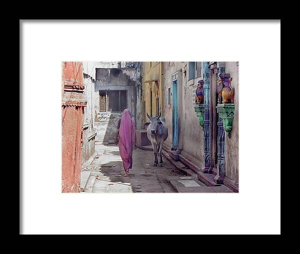 Shadow Framed Print featuring the photograph The Lady And The Cow by Glenn Losack