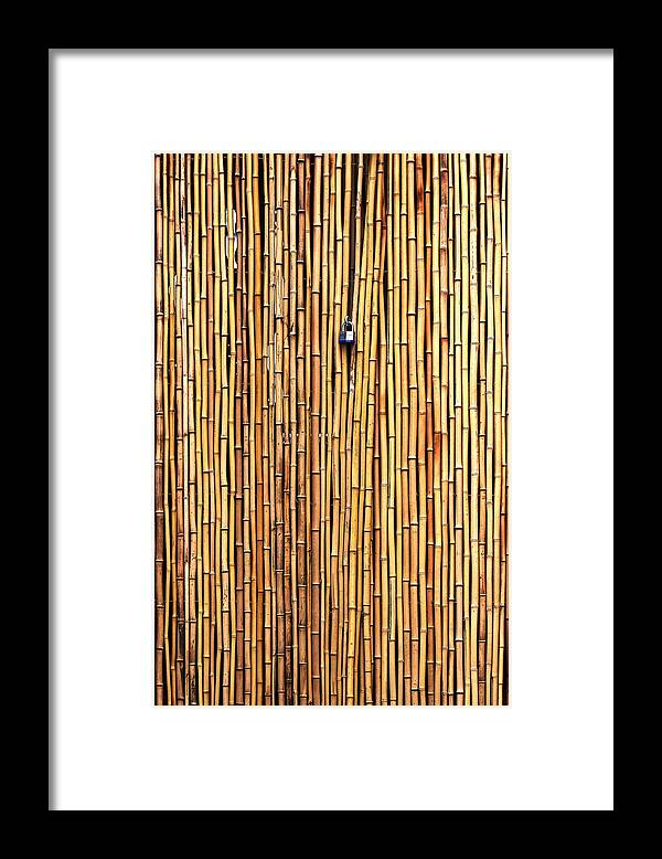 Bamboo Framed Print featuring the photograph The Locked Door by Jian Wang