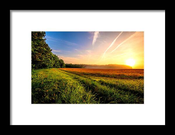 The Long Way Home Prints Framed Print featuring the photograph The Long Way Home by John Harding