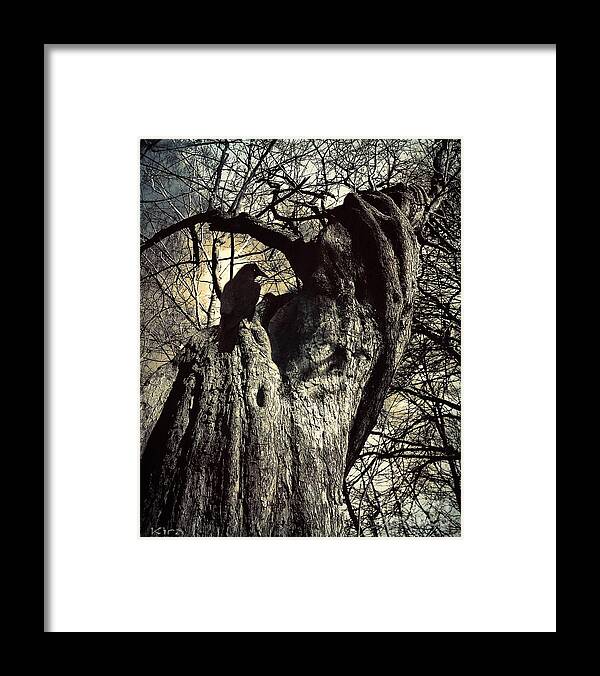 Tree Framed Print featuring the photograph The Magician by Kira Bodensted