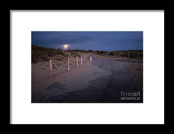 _flora Framed Print featuring the photograph The Moon Lights My Way by Hannes Cmarits