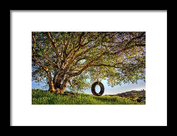 Oak Tree Framed Print featuring the photograph The Old Tire Swing by Endre Balogh