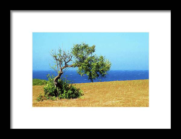 Trees Framed Print featuring the photograph The olive tree by Gaye Bentham
