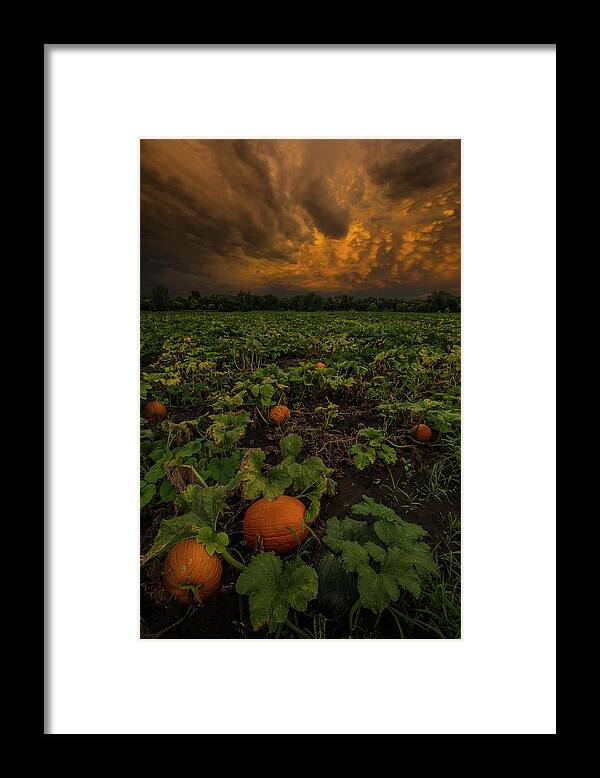 Pumpkin Patch Framed Print featuring the photograph The Patch by Aaron J Groen