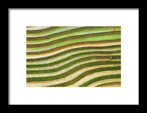 Scenics Framed Print featuring the photograph The Patern Of Rice Terrace by Photo By Sayid Budhi