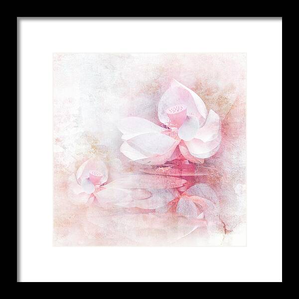 Lotus Framed Print featuring the photograph The Pink Lotus by Jai Johnson