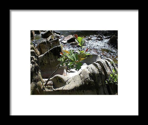Wate Framed Print featuring the photograph The power of water by Martin Smith