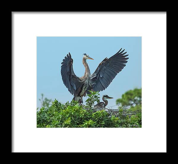 Susan Molnar Framed Print featuring the photograph The Protector by Susan Molnar