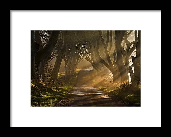 Light Framed Print featuring the photograph The Road Goes Ever On & On by Gary Mcparland