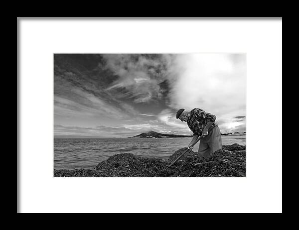 Seaweed Framed Print featuring the photograph The Seaweed Man by Filipe P Neto
