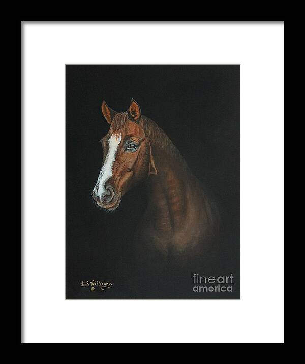 Horse Framed Print featuring the painting The Stallion by Bob Williams
