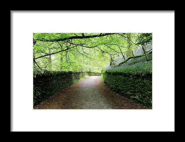 Stroll Framed Print featuring the photograph The Stroll by Nicholas Blackwell