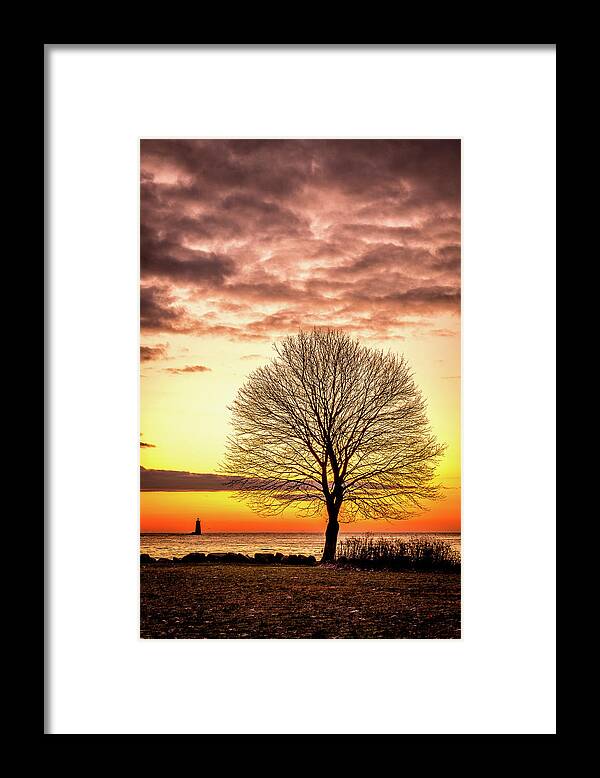 New Hampshire Framed Print featuring the photograph The Tree by Jeff Sinon