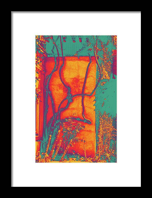 Tree Framed Print featuring the mixed media The Tree of Life by Giorgio Tuscani