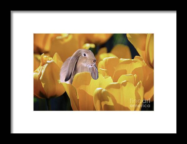 Season Framed Print featuring the mixed media The Bunny in the Tulip Patch by Elaine Manley