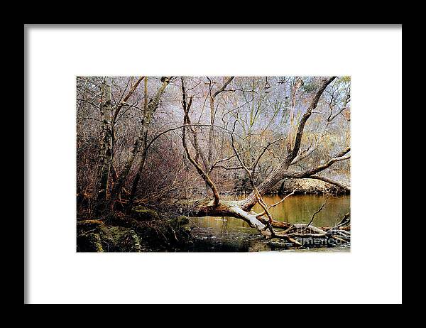 Wood Framed Print featuring the photograph The Unseen Forest by Elaine Manley